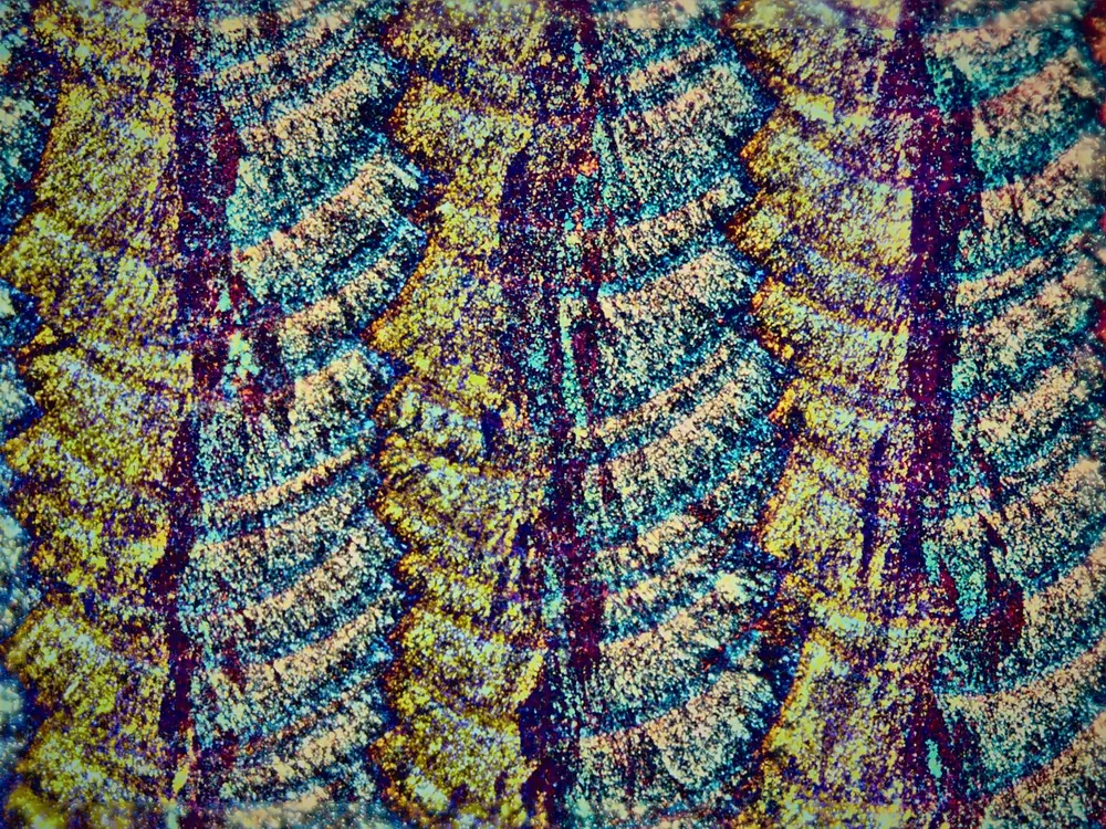 The tracks of the laser in the metal, under the microscope in polarised light: rows of fish scales in blue, gold and violet